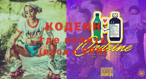 гашик Нестеровская