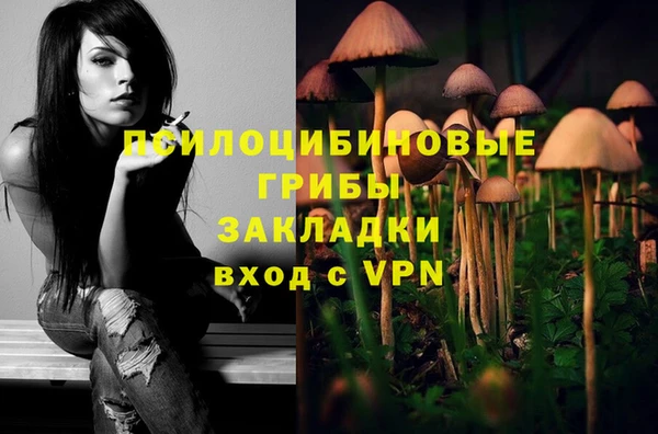 каннабис Абаза