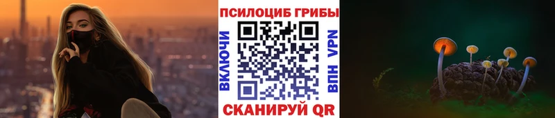 Псилоцибиновые грибы Magic Shrooms  MEGA ССЫЛКА  Александровск-Сахалинский 